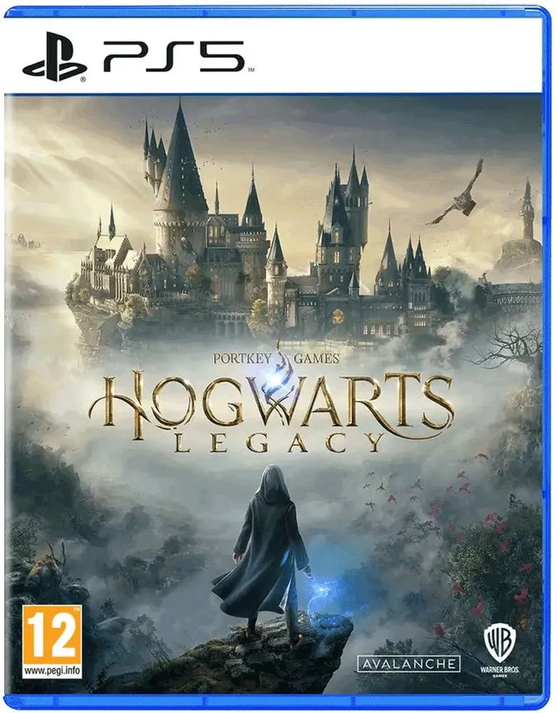 Игра PlayStation для PS5 Hogwarts Legacy Русские субтитры 5990₽
